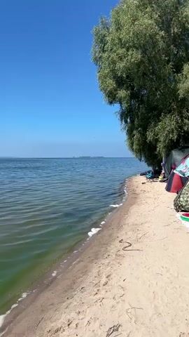 A wide shot of a sandy beach with calm, green water lapping at the shore. A large tree with lush green leaves overhangs the beach, providing shade. Two tents are set up on the sand, one with a colorful patterned umbrella. The sky is a clear, bright blue, with a faint haze on the horizon. The camera pans slightly to the right, revealing more of the beach and the tents. The sound of gentle waves is present.