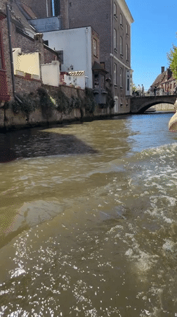 Canal boat tour carries young passenger through sunny Bruges