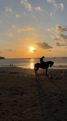 Horseback rider silhouetted against sunset at Indonesian beach