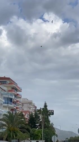 Casual street scenes and coastal views captured in Alanya