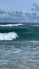 Early morning surfing activity recorded at Midigama beach, Sri Lanka