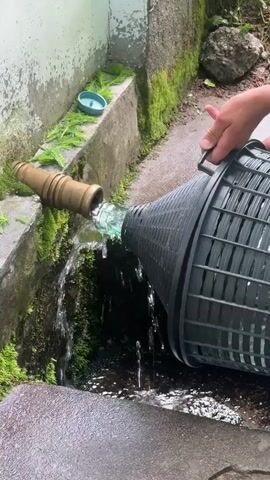A person's hands are visible, holding a large glass jug encased in a protective basket. The jug is tilted, and a stream of water is being poured from a brass spigot into its opening. The spigot is attached to a concrete structure covered in moss and greenery. The ground in front of the structure is wet, with water splashing around the base of the jug. The environment appears to be outdoors, possibly a natural spring or a public water source.