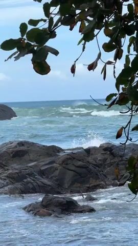 The video shows a view of the ocean with waves crashing against rocks, framed by the leaves of a tree in the foreground. The sky is blue with some clouds, and the water is a mix of turquoise and deep blue. The waves are large and powerful, creating white foam as they break. The rocks are dark and jagged, some partially submerged in the water. The leaves of the tree are green and brown, with some appearing to be drying or falling. There are no people or man-made objects clearly visible in the video. The overall scene depicts a dynamic and somewhat wild coastal environment.