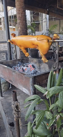 Traditional pig roasting documented in Denpasar, Indonesia