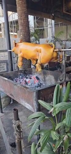 Traditional pig roasting documented in Denpasar, Indonesia