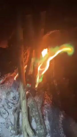 A campfire burns with typical orange flames and areas of green flames. Several pieces of charred wood and branches are burning. The fire is on the ground in a dark environment. Smoke rises from the fire.