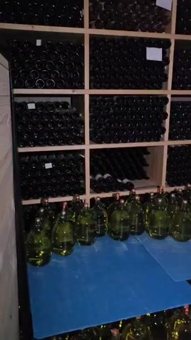The video shows a wine cellar. The camera pans around to show wooden shelves stacked with wine bottles. Some shelves contain green wine bottles, and others contain dark brown or black wine bottles. The room appears dimly lit.
