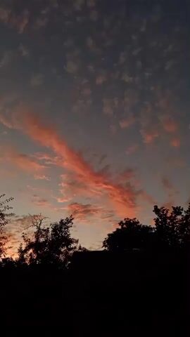 The video captures a sunset sky with clouds. The clouds are illuminated with shades of pink and orange, contrasting with the darker blue of the upper sky. Silhouetted trees form the lower border of the frame. The camera appears to be static, or slowly panning upwards as the sky gets lighter towards the end of the clip.