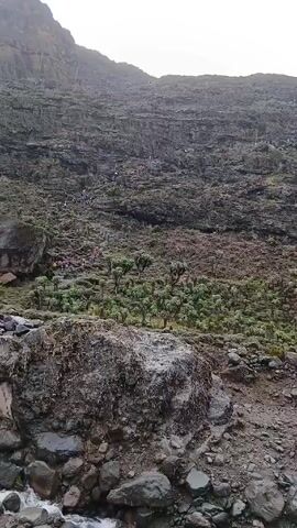 The video shows a mountain with a rocky slope and sparse vegetation. A small stream flows in the foreground. A group of people are hiking up the mountain in a line. The weather appears overcast. The ground is covered with rocks and moss.