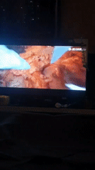 Lokoja resident documents TV viewing session across multiple programs
