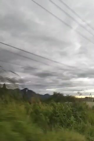 The video captures a moving shot, likely from a vehicle, looking towards a cloudy sky and a landscape. In the foreground, blurred green foliage is visible. Power lines are prominent, stretching across the frame. In the mid-ground, there are several simple buildings, some appearing to be small shops or structures with open fronts, situated amidst vegetation. Further in the distance, mountains are discernible under the overcast sky. The overall impression is of a rural or semi-rural setting on a cloudy day, with the camera in motion. There are no visible people or specific actions taking place.