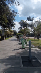 Coastal and urban snapshots across an Indonesian day