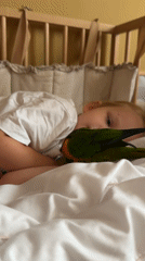 Slow June morning in Khimki: birds, trees, and breakfast