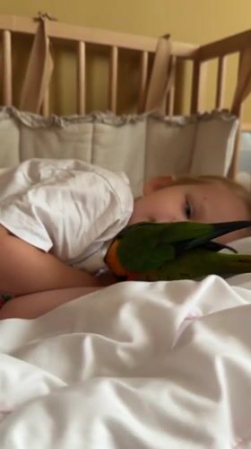 Slow June morning in Khimki: birds, trees, and breakfast