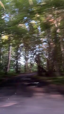 The video shows a blurry, streaking view of trees and foliage from a moving vehicle. The light suggests it is daytime, possibly late afternoon given the dappled sunlight filtering through the leaves. The camera is positioned to capture the side of the road, with the trees forming a green blur. No people or specific objects are clearly discernible due to the motion blur. The environment appears to be a wooded area.