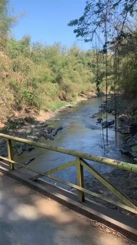 This video shows a river flowing through a natural landscape. The river has a rocky bottom and the water is clear. On either side of the river are lush green trees and vegetation. The sky is a clear blue, and the sun is shining. The video appears to have been taken from a bridge, as a yellow railing is visible in the foreground. The overall scene is peaceful and serene.