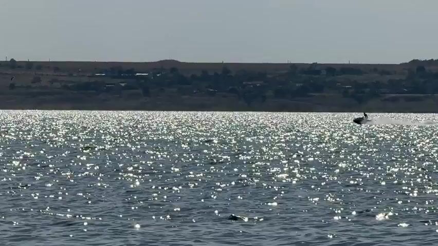 The video shows a wide shot of a body of water under a bright, hazy sky. The sun is shining intensely, creating a sparkling effect on the water's surface. In the background, a distant, hilly shoreline is visible, dotted with small buildings and a single wind turbine. The water is relatively calm, with small ripples and occasional splashes. In the middle ground, a person is riding a jet ski, leaving a wake behind them. To the right of the jet skier, another person is on a towed inflatable watercraft, appearing to be being pulled through the water. A faint silhouette of a person swimming can be seen in the lower left corner of the frame. The overall impression is a sunny day at a lake or reservoir with recreational activities taking place.