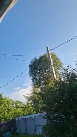 A video shows a clear blue sky with some wispy clouds. A utility pole stands tall with wires running across it. Lush green trees and bushes are visible in the foreground, obscuring part of a gray fence. The sun casts a warm glow, suggesting it is daytime. The camera appears to be handheld, with slight movements.