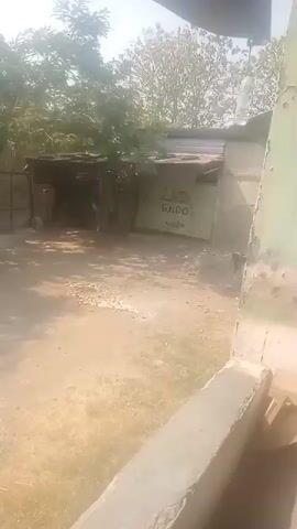 A person is seen filming a rundown shed with corrugated metal roofing. There is some graffiti on the side of the shed that reads "LAS ENDO". The shed is surrounded by dirt and some vegetation. The sun is shining brightly, creating a harsh glare. The camera is held at a slight angle, and the footage is somewhat shaky.