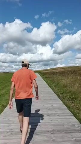 A man wearing an orange t-shirt, black shorts, and a beige cap walks away from the camera on a wooden boardwalk. The boardwalk stretches into the distance across a field of dry grass under a bright blue sky with white clouds. A small, dome-shaped structure is visible on a hill in the background. The man's shadow is cast on the boardwalk to his left.