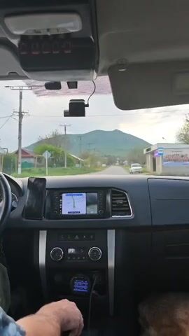 The video shows the interior of a car driving down a street towards a mountain in the distance. The dashboard is visible, showing a navigation screen, climate control, and what appears to be a radio or control panel. A smartphone is mounted to the left of the navigation screen, and a dashcam is mounted on the windshield. A person's arm and hand are visible on the steering wheel, and part of a dog can be seen on the passenger side floor. The street is lined with houses and utility poles. The sky is overcast.