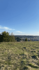 Spring nature walk documented in rural Russia