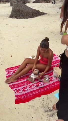 A woman wearing a red swimsuit sits on a red and white striped towel on a sandy beach, holding a small dog. The dog is wearing a light-colored garment. The woman is interacting with the dog, and appears to be petting it. To the woman's right, on the towel, are a white cup, a straw, a small brown bag, and a green bottle. In the background, a person wearing white shorts and a light-colored shirt stands with their hands on their hips, and another person's shoulder and arm are visible on the right side of the frame. Palm trees are visible in the upper left corner of the frame.