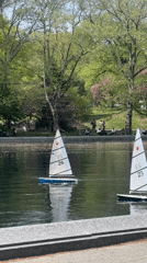 Model sailboats spotted sailing in New York park pond