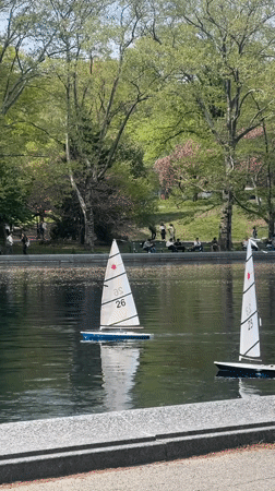 Model sailboats spotted sailing in New York park pond