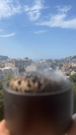 Morning moments captured across Budva: smoking, cat, cityscape