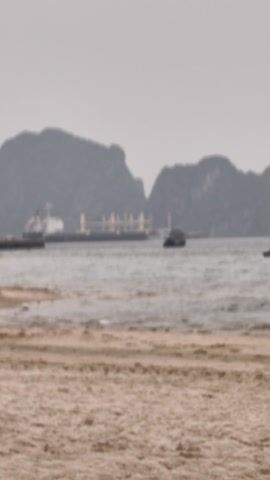 This video presents a static, wide shot of a coastal scene in Bai Chay, Vietnam, under an overcast sky.

The frame is divided into three main horizontal sections. On the far right, a light brown sandy beach is visible, showing textures from the gentle wave action. To its left, the ocean stretches across the middle of the frame, with small, greyish waves calmly approaching the shore.

In the mid-ground, several large cargo ships, likely bulk carriers, are anchored or moving slowly on the water. At least three distinct large vessels can be seen, characterized by their long hulls and superstructures with cranes. One ship in the foreground has visible red markings on its hull, while others appear darker against the muted background. Smaller, less distinct vessels or structures are also visible closer to the larger ships.

In the background, a series of dark, forested mountains rise from the water, their peaks partially obscured by haze or distance, creating a subdued color palette. The sky above is uniformly light grey, indicating an overcast day and blending seamlessly with the distant mountains.

The scene depicts a calm, somewhat industrial coastal landscape, suggesting a working port or a bay with significant shipping traffic. There are no discernible human figures or explicit activities occurring within the short video clip, and no visible text is present. The overall atmosphere is tranquil and muted.