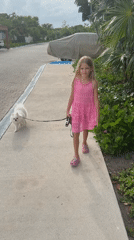 Girl walks Pomeranian dog in Playa del Carmen