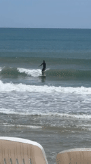 Morning beach life documented at tropical location