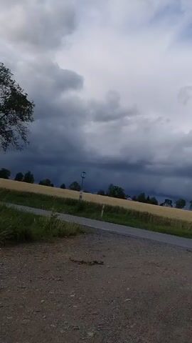 The video shows a view of a rural landscape under a cloudy sky. In the foreground, there is a dirt road with gravel and some dry vegetation. A paved road runs parallel to the dirt road, separating it from a field of golden crops, likely wheat or barley. In the mid-ground, several trees stand along the edge of the field and the road. The sky is dominated by dark, heavy clouds, suggesting an approaching storm, with patches of lighter sky visible. The camera pans slightly to the right, revealing more of the field and the trees. No people are visible in the video.