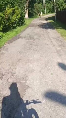 The video begins with a first-person perspective of someone riding a bicycle on an asphalt road. Two people are visible in the distance, walking away from the camera. The road is cracked and appears to be in disrepair. Green foliage lines the sides of the road, and trees are visible in the background. The shadow of the rider and their bicycle is cast on the road. As the video progresses, the camera focuses more on the handlebars and front wheel of the bicycle, showing the hand of the rider operating the gear shift. The sunlight creates dappled patterns on the road surface. The two people in the distance continue to walk away. The video ends with a close-up of the bicycle's handlebars and front fork.