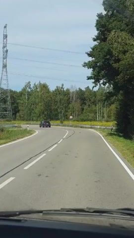 The video shows a view from a vehicle moving along a paved road with a double white line in the center and a white line on the right edge. The road curves to the right, bordered by a ditch and yellow wildflowers on the right, and a forest on the left. A large metal electricity pylon with multiple wires stretching across the sky stands on the left side of the road. Further down the road, a black car is visible, driving in the same direction. A red circular sign with a white horizontal bar, indicating a speed limit of 50, is posted on the right side of the road. The sky is clear and blue with some clouds.