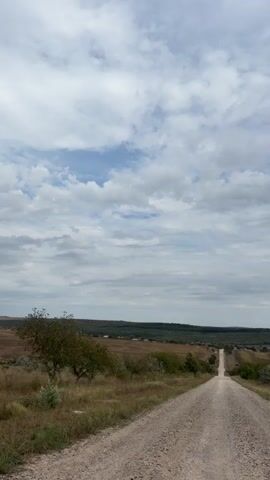 The video displays a rural landscape with a gravel road curving into the distance. The road is flanked by dry grass and scattered trees. In the background, there are fields and rolling hills under a cloudy sky. The camera pans slightly, capturing the vastness of the open space and the solitary nature of the road. The lighting suggests it is daytime, possibly late afternoon, with diffused light from the overcast sky. No people or animals are visible in the frame. The overall atmosphere is one of quiet solitude and natural beauty.