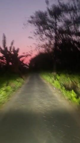 This video shows a first-person perspective of someone driving on a paved road at dusk. The sky is a gradient of purple and pink, indicating sunset or sunrise. Tall trees and foliage line both sides of the road, with some vegetation appearing brightly lit by the vehicle's headlights. The road surface is visible, with some texture and debris. The vehicle appears to be moving at a moderate speed, as evidenced by the motion blur in the foliage and the way the road recedes. There are no other vehicles or people visible in the frame. The overall atmosphere is serene and natural, with the twilight sky creating a dramatic backdrop.