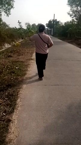 A person wearing a pink shirt, black pants, and a dark helmet is walking away from the camera on a paved road. The person is carrying a black bag over their left shoulder. The road is lined with dry grass and vegetation on the left side. In the background, there are trees and a utility pole. The sky is bright and overcast.