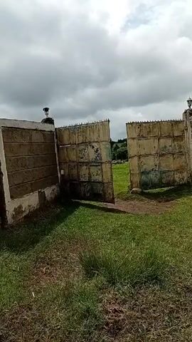 The video begins with a view through an open metal gate onto a grassy field, possibly a park or private property.  The camera then transitions to a dusty, dirt road winding through a rural landscape. Lush green vegetation lines the sides of the road, contrasting with the reddish-brown soil.  Power lines stretch across a cloudy sky, suggesting a sense of infrastructure in the area.  The camera focuses intermittently on the road surface and the adjacent green vegetation.  The overall impression is of a journey through a remote or undeveloped area.