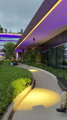 A vertical video captures a person sitting on the grass in a park at dusk. The person is wearing a blue shirt and is looking to their left. The park is surrounded by a modern building with a curved design. The building has a unique architectural style with undulating levels and is illuminated with purple and pink lights. The video pans to the left to reveal more of the building's facade and the surrounding greenery. The sky is overcast, suggesting an evening setting.