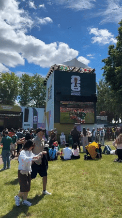 FIFA Fan Festival Vancouver draws international crowds for World Cup viewing