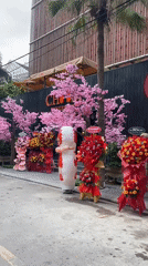 Grand opening celebration with live music and flowers in Đà Nẵng