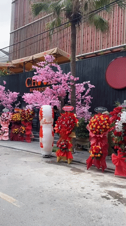 Grand opening celebration with live music and flowers in Đà Nẵng