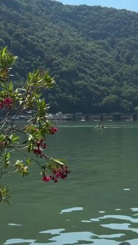 A vertical video displays a serene landscape with a focus on a branch with pink flowers in the foreground. The branch, laden with green leaves and clusters of small pink blossoms, is positioned on the left side of the frame, slightly out of focus. Beyond the branch, a calm, green body of water dominates the midground and foreground. The water exhibits gentle ripples and subtle reflections. In the distance, on the water, two people are visible in a small boat, paddling. Further back, a man-made structure, possibly a dam or a series of buildings, stretches across the horizon line, partially obscured by the water and trees. The background is filled by a lush, densely forested mountainside, casting a verdant green hue under a bright, sunny sky. The overall impression is one of tranquility and natural beauty.