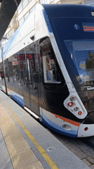 Morning tram commute and cats captured in Antalya