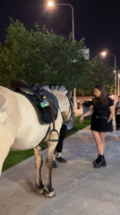 Horse and rider spotted on Moscow sidewalk evening