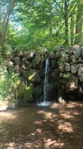 A small waterfall cascades over a stone wall in a wooded area. Sunlight filters through the trees, dappling the water and the ground. The water flows into a shallow pool. The scene is serene and natural.