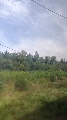 The video shows a view from a moving vehicle, likely a train, looking out at a natural landscape. The foreground consists of blurred green vegetation, indicating motion. In the mid-ground, there are power poles and lines running horizontally across the frame. Behind the power lines, a dense forest of green trees stretches across the horizon. The sky above is partly cloudy with patches of blue. The overall impression is of a journey through a rural or wooded area.