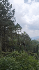 Zipline adventure captured through Da Lat forest valleys